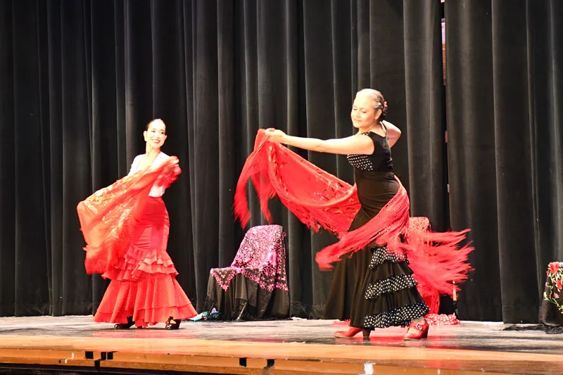 flamenco